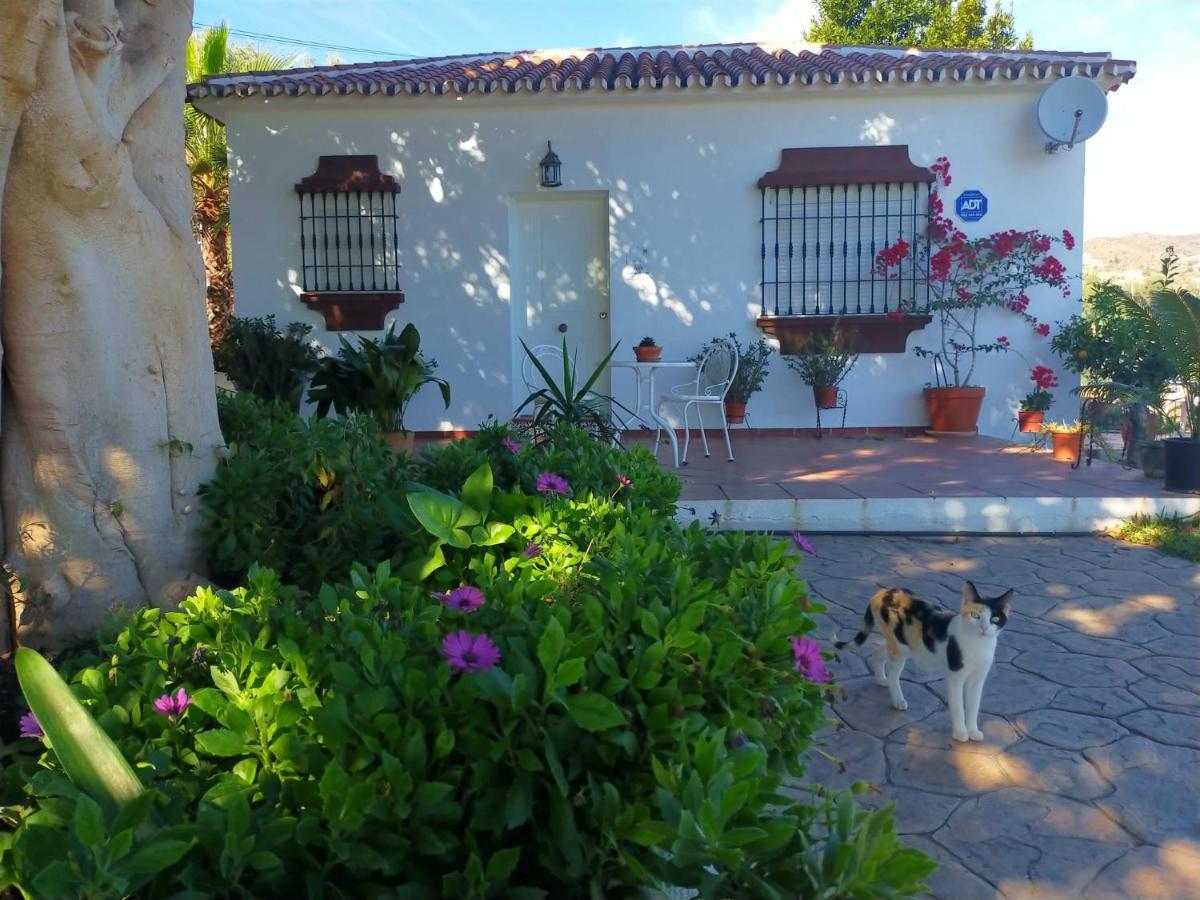 Paraje El Pozo Malaga Ngoại thất bức ảnh