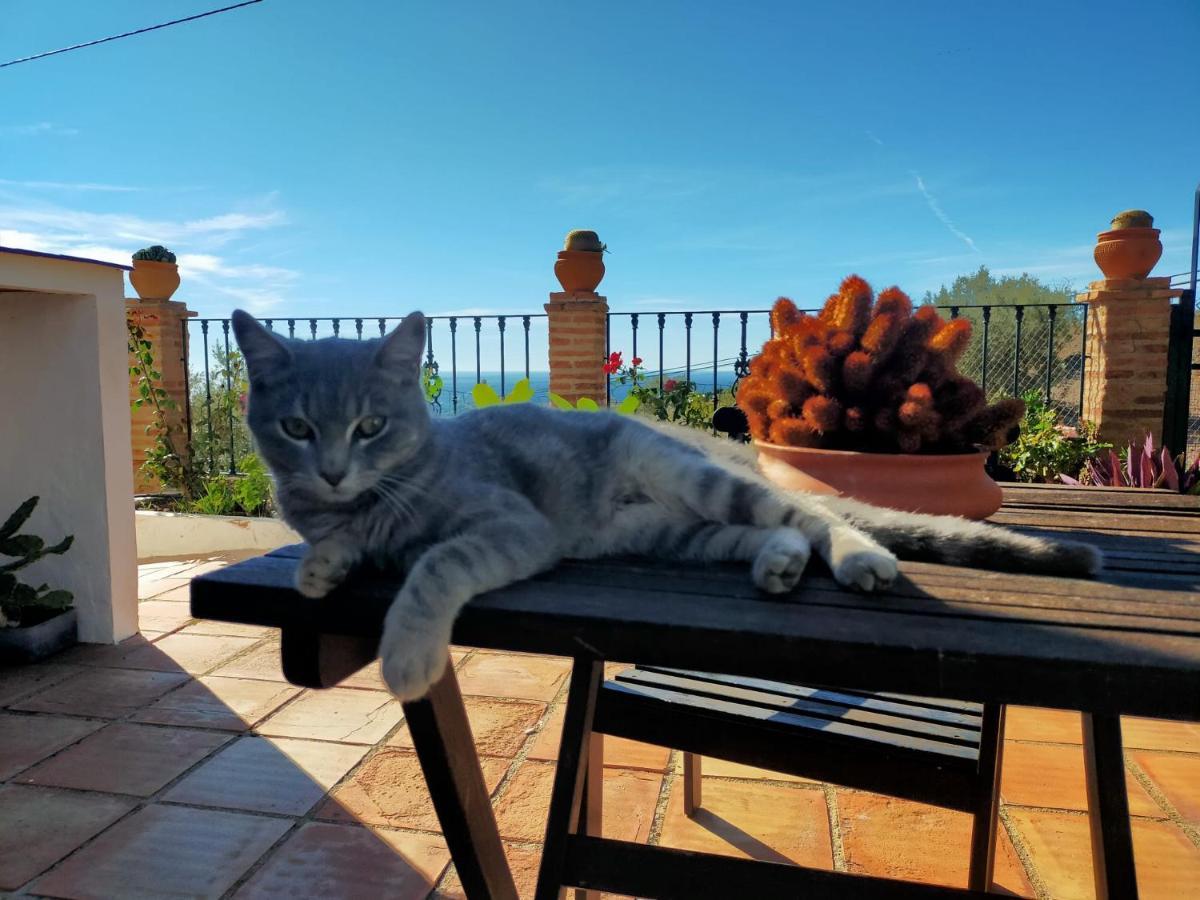 Paraje El Pozo Malaga Ngoại thất bức ảnh