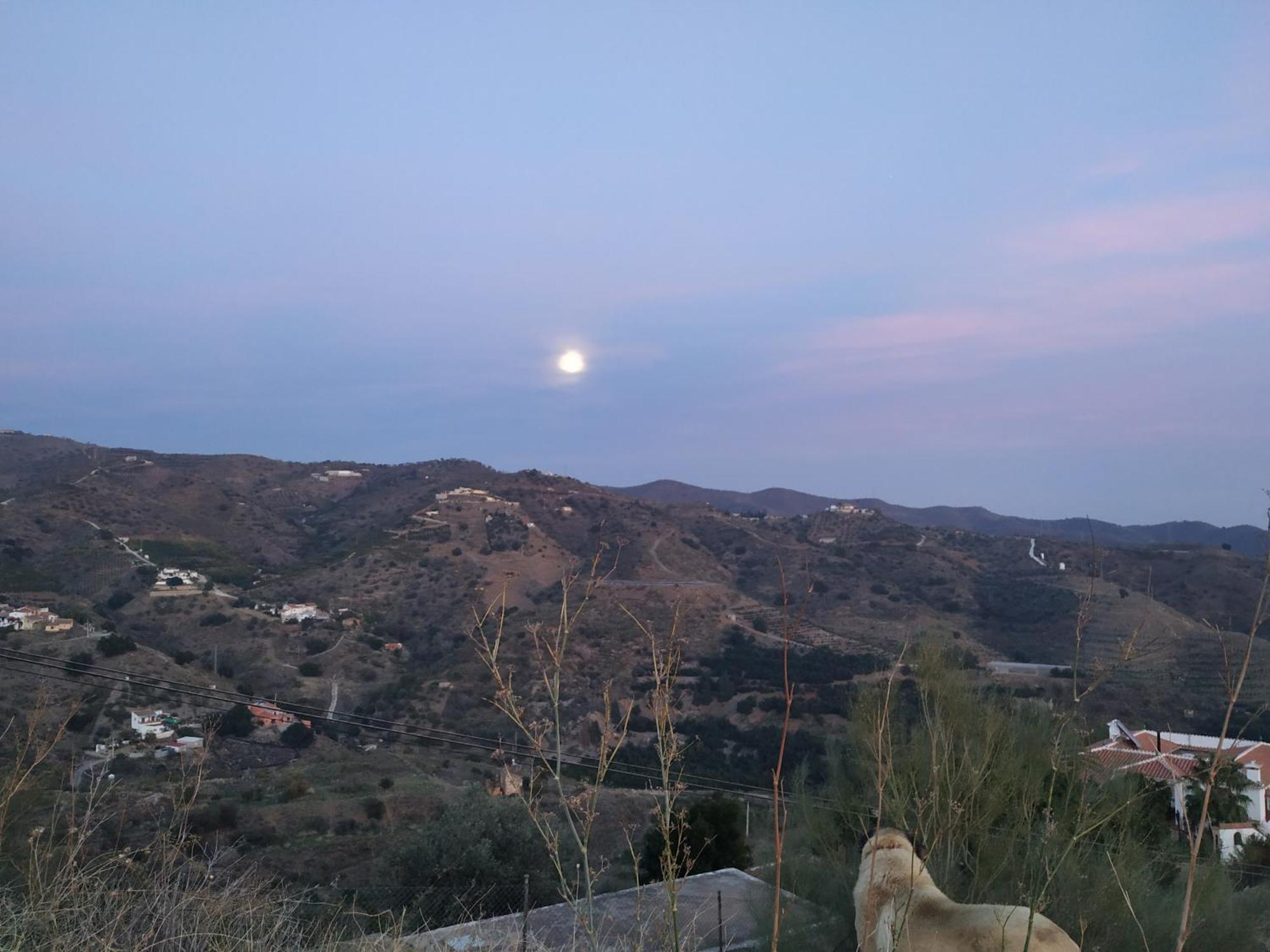 Paraje El Pozo Malaga Ngoại thất bức ảnh