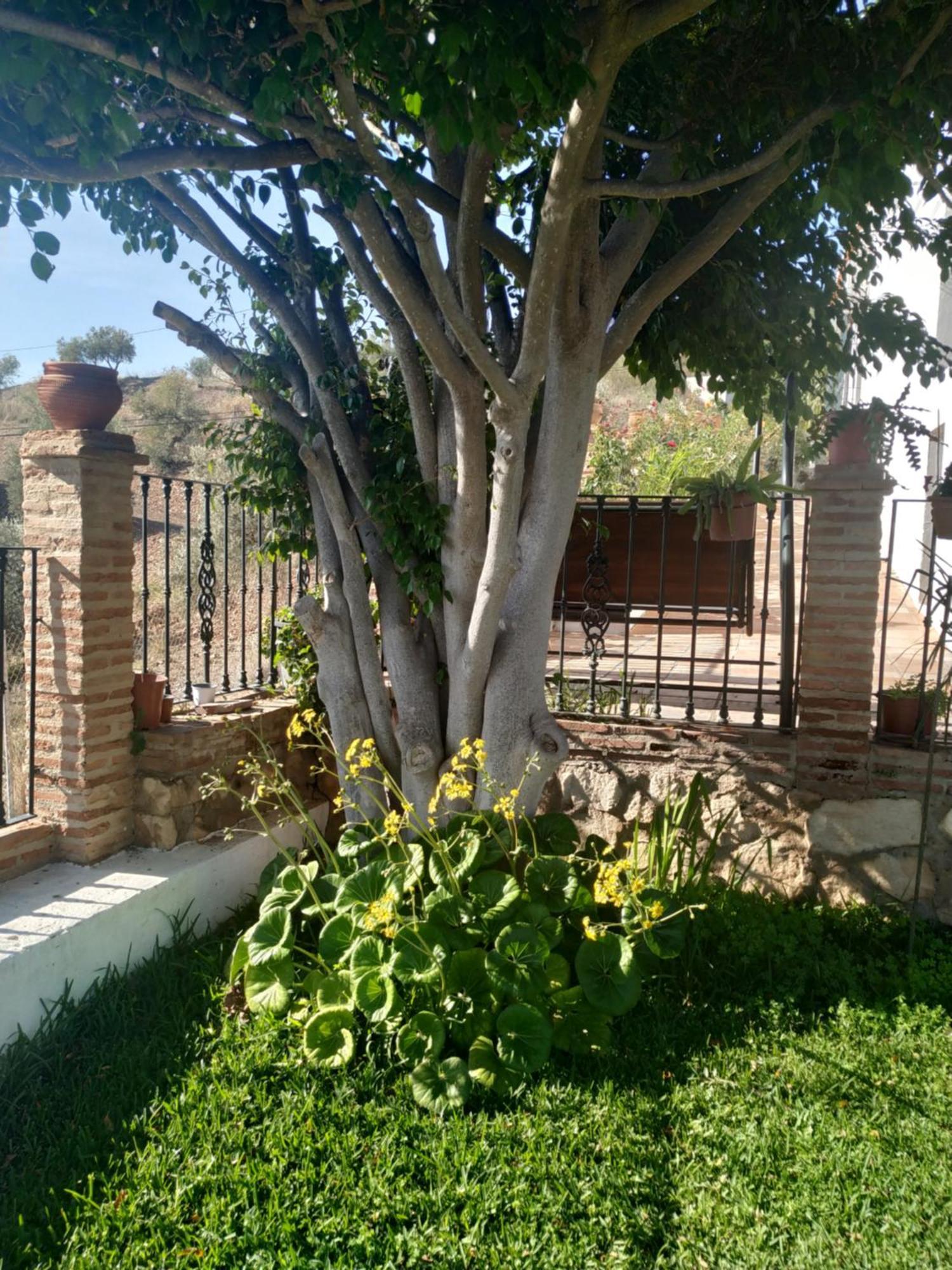 Paraje El Pozo Malaga Ngoại thất bức ảnh