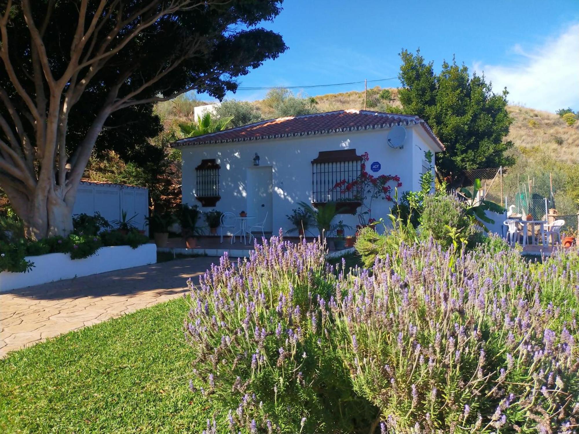 Paraje El Pozo Malaga Ngoại thất bức ảnh