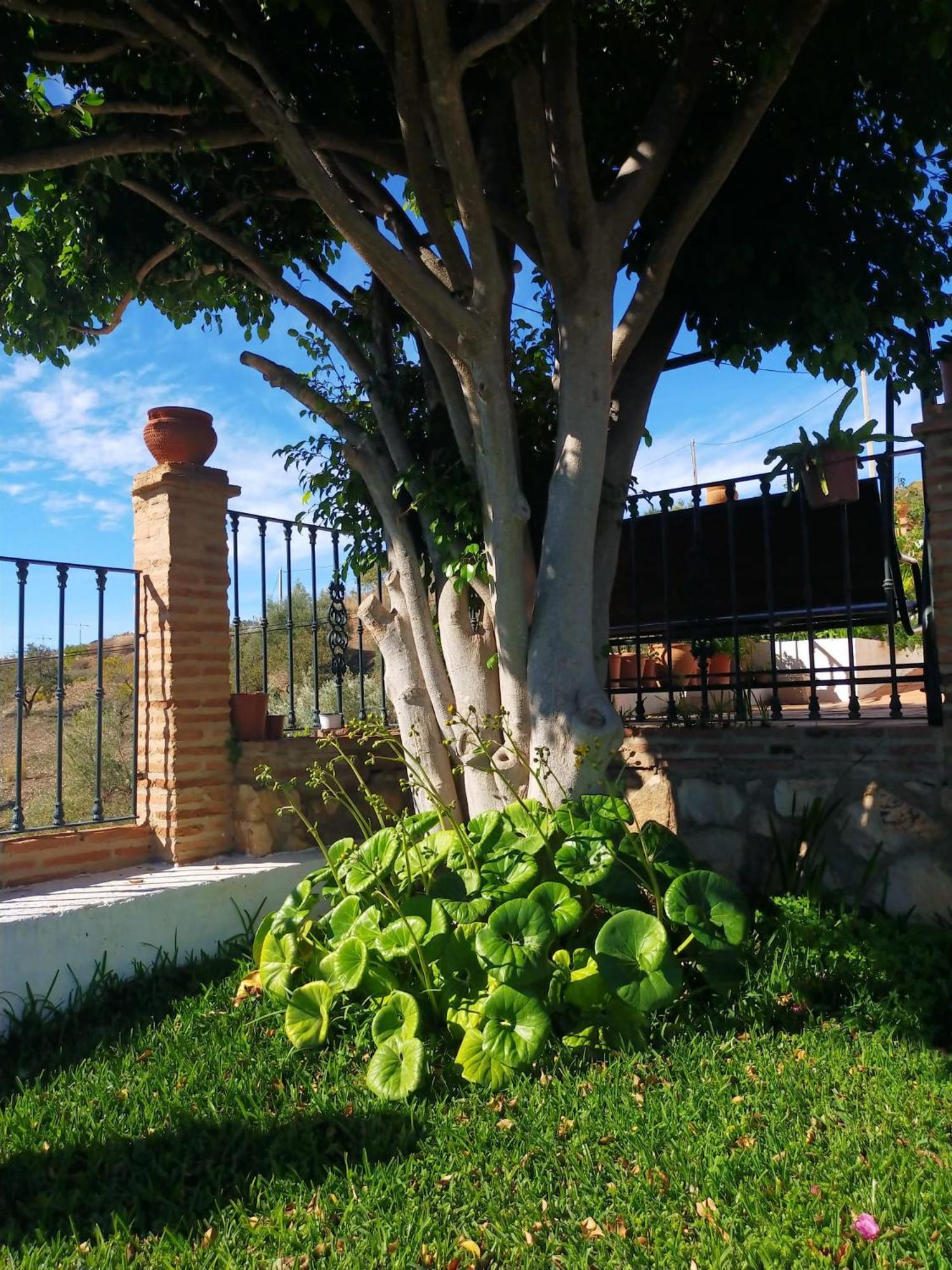 Paraje El Pozo Malaga Ngoại thất bức ảnh